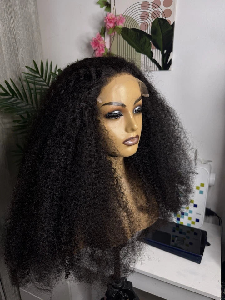 Curly Human Hair 6x6 HD Lace Wig 24inches 300g Density